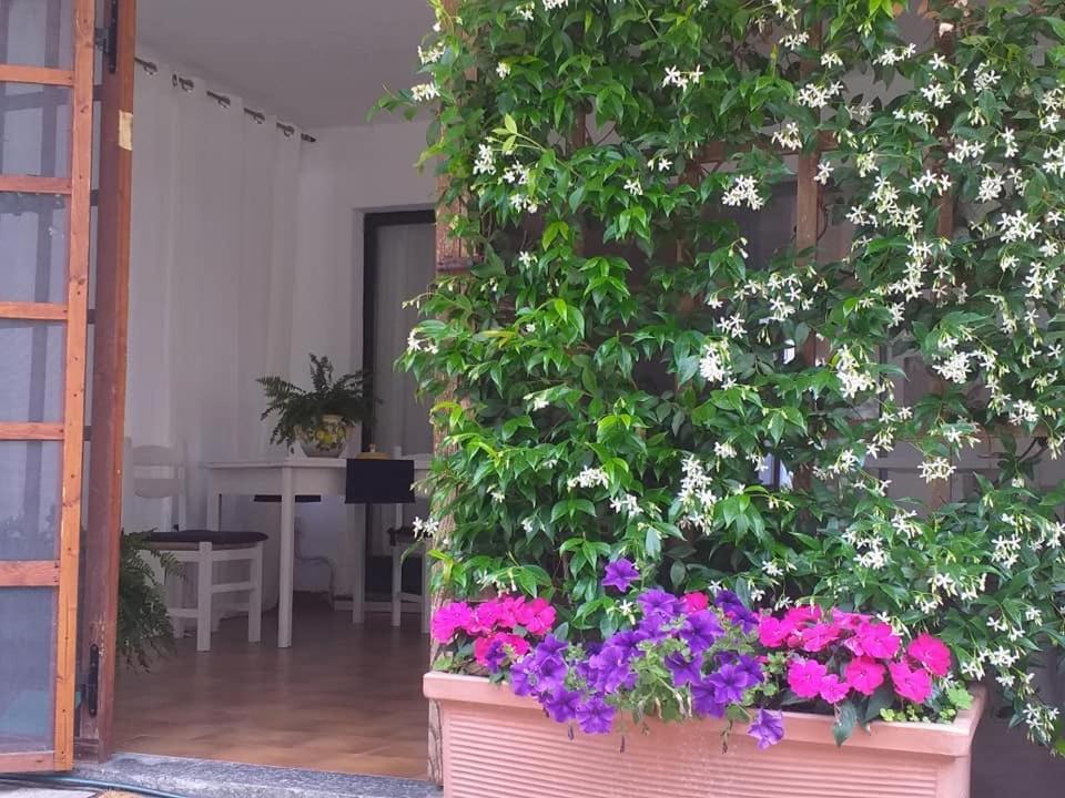 Alla Ghigliotta 비베로네 외부 사진